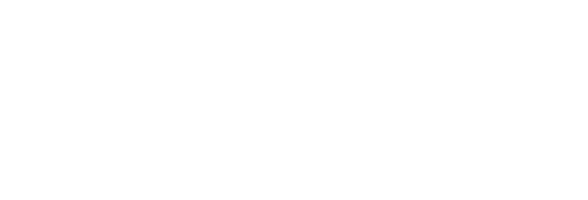 Q & A